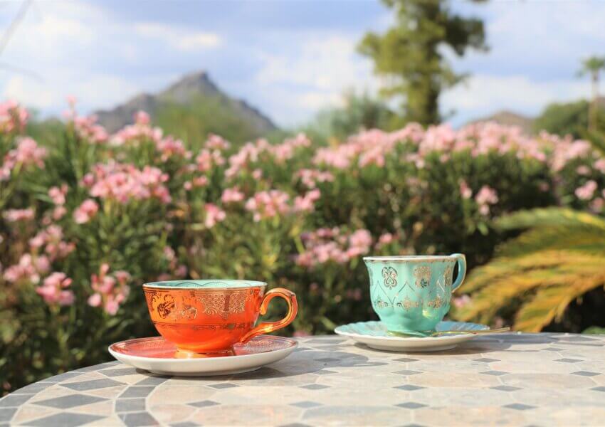 Imported Tea Cups | Details of the Biltmore Cottages