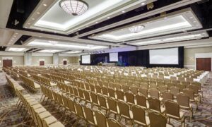 meetings & events, Meeting &#038; Events