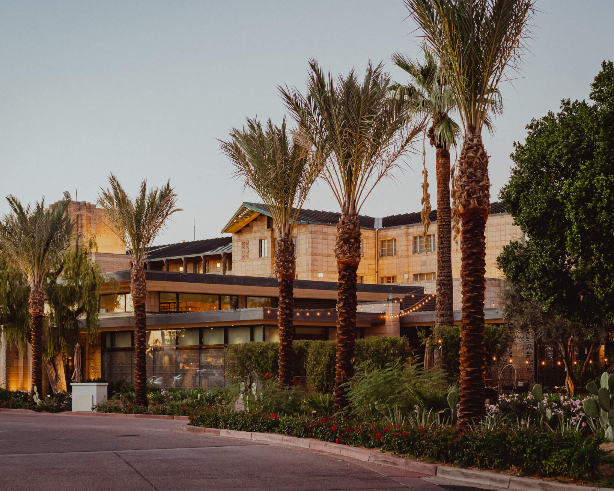A modern, low-rise building with large windows is surrounded by palm trees, plants, and flowers under a clear summer sky at sunset.