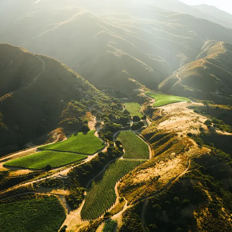 Aerial view of terraced vineyards nestled within rolling mountain hills.
